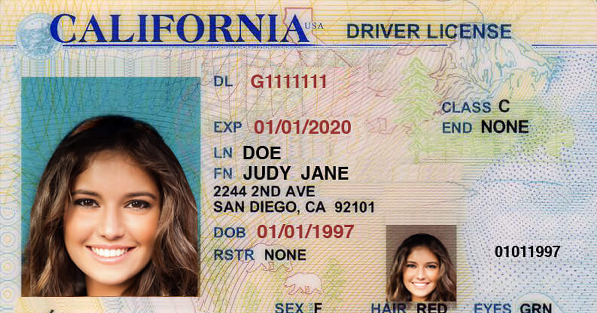 california driver license practice test